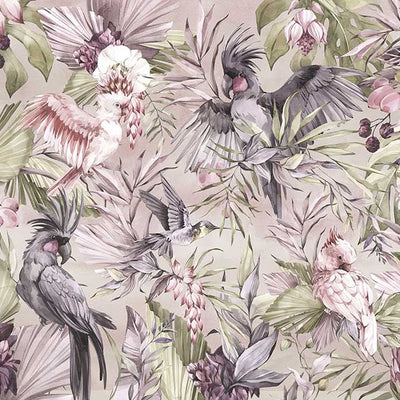 Pink Cockatoo Removable Wall Mural ANM059