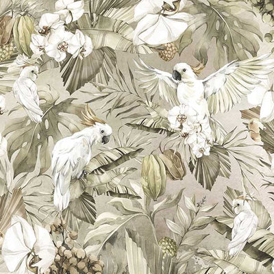 Cockatoo Removable Wall Mural ANM052