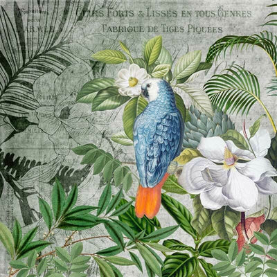 Kingdom of Birds Wall Mural AM36,hywallart
