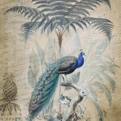 Peacock Jungle Wall Mural AM42,hywallart