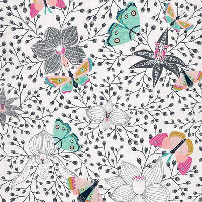 Butterfly Orchid White Wall Mural B68,hywallart