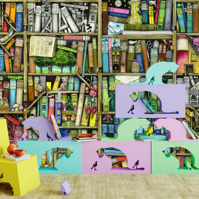 Bookshelf Wall Mural A16,hywallart