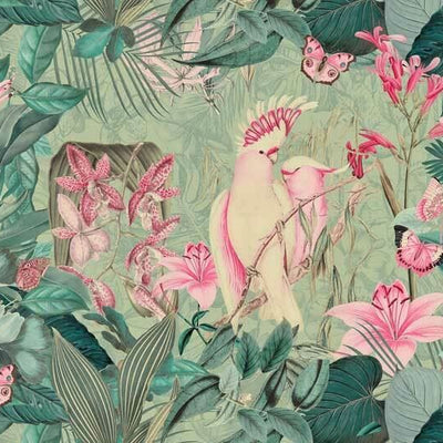 Cockatoos With Butterflies Vintage Wall Mural  B50,hywallart