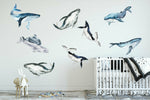 10 pcs Baby Whale Wall Decal,hywallart