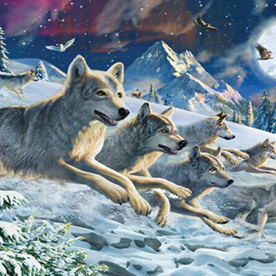 Moonlight Wolfpack Wall Mural AM14,hywallart