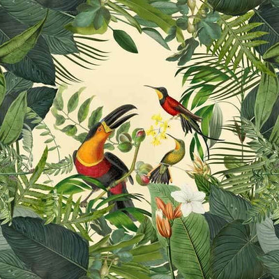 Tropical Leaves Toucan Wall Mural B48,hywallart