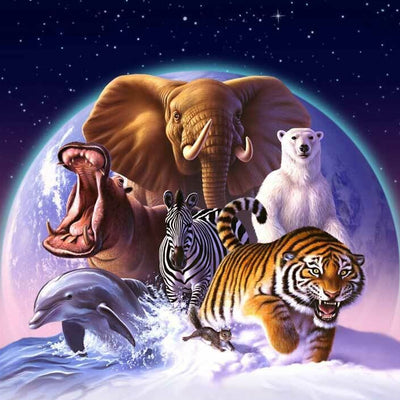 Mammals Wall Mural  AM38,hywallart