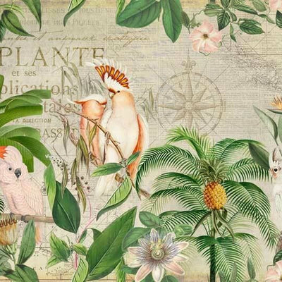 Cockatoo Jungle Wall Art Mural  B55,hywallart