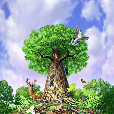 Tree Of Life Wall Mural B59,hywallart