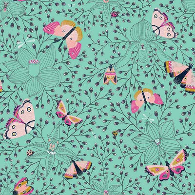 Butterflies Orchid White Wall Mural B67,hywallart